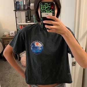 Cropped brandy Melville tee